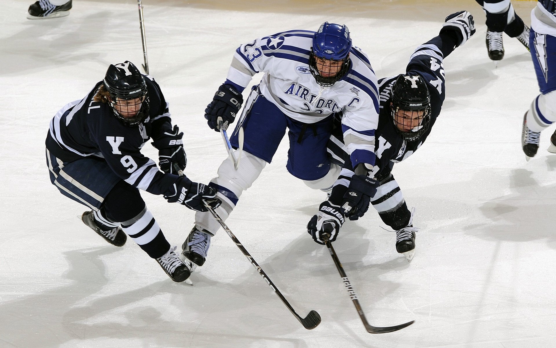 约基奇，当完美成为常态，骑士铁蹄踏碎爵士幻想